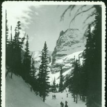 "Pygmies Among Giants"