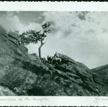 Dwellers of the Heights