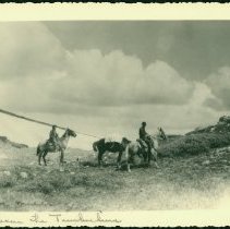 Above the Timberline