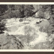 1972.009.002_photo 102