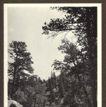 1972.009.002_photo 105