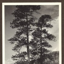 1972.009.002_photo 106