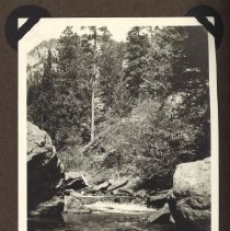 1972.009.002_photo 136