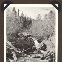 1972.009.002_photo 142