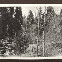 1972.009.002_photo 144