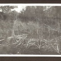 1972.009.002_photo 153