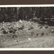 1972.009.002_photo 159