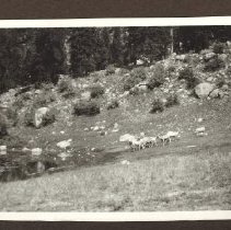 1972.009.002_photo 160