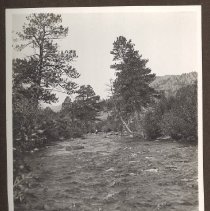 1972.009.002_photo 17