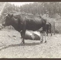 1972.009.002_photo 30