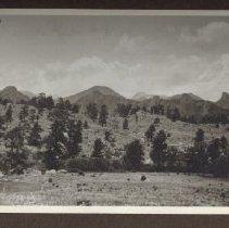 1972.009.002_photo 37