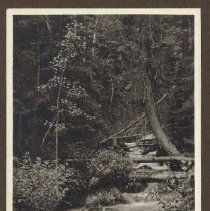 1972.009.002_photo 59