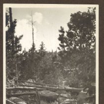 1972.009.002_photo 66