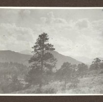 1972.009.002_photo 67