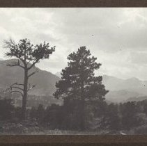 1972.009.002_photo 68