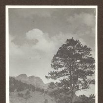 1972.009.002_photo 70