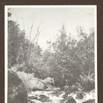 1972.009.002_photo 71