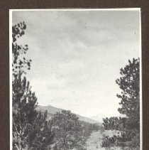 1972.009.002_photo 72