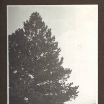 1972.009.002_photo 73