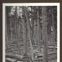 1972.009.002_photo 85