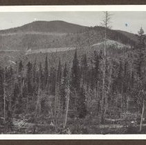 1972.009.002_photo 87