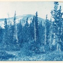 1997.034.029_photo 17b