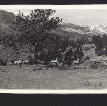 1997.034.030_photo 9