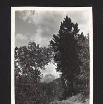 1997.034.030_photo 3