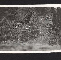 1997.034.030_photo 4