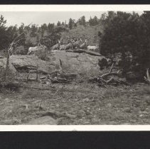 1997.034.030_photo 7