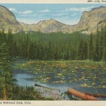 447 - Lily Pond, Wild Basin. Rocky Mountain National Park