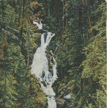 "Lulu Falls, Estes Park, Col."