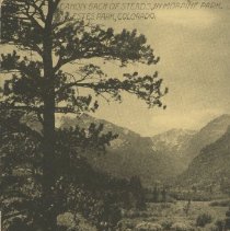 Canon Back of Steads, in Moraine Park. Estes Park, Colorado. 488