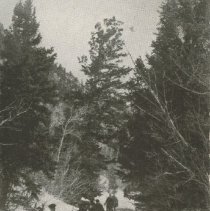 Winter Sports in Estes Park, Colo.