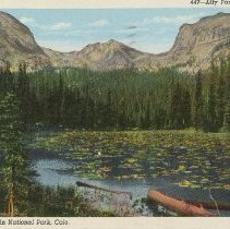 447-Lily Pond, Wild Basin