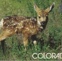 Colorado