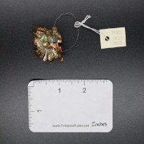 Ornament, Christmas Tree