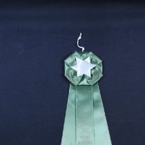 ribbon, prize