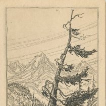 Timberline Veteran of the Colorado Rockies