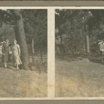 Stereograph