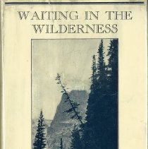 Waiting in the Wilderness