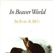 In Beaver World