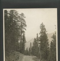 Album, Photograph