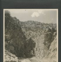 Album, Photograph