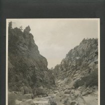 Album, Photograph