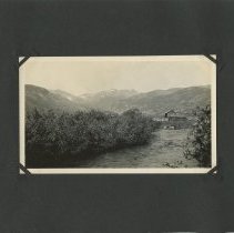 Album, Photograph