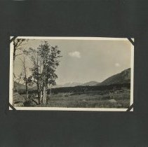 Album, Photograph