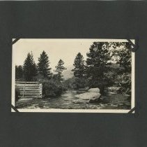 Album, Photograph