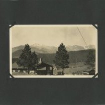 Album, Photograph