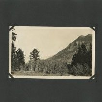 Album, Photograph
